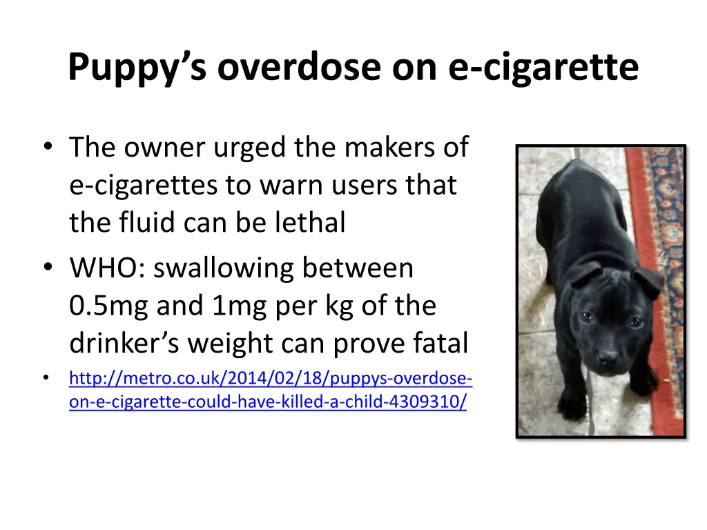 puppy s overdose on e cigarette