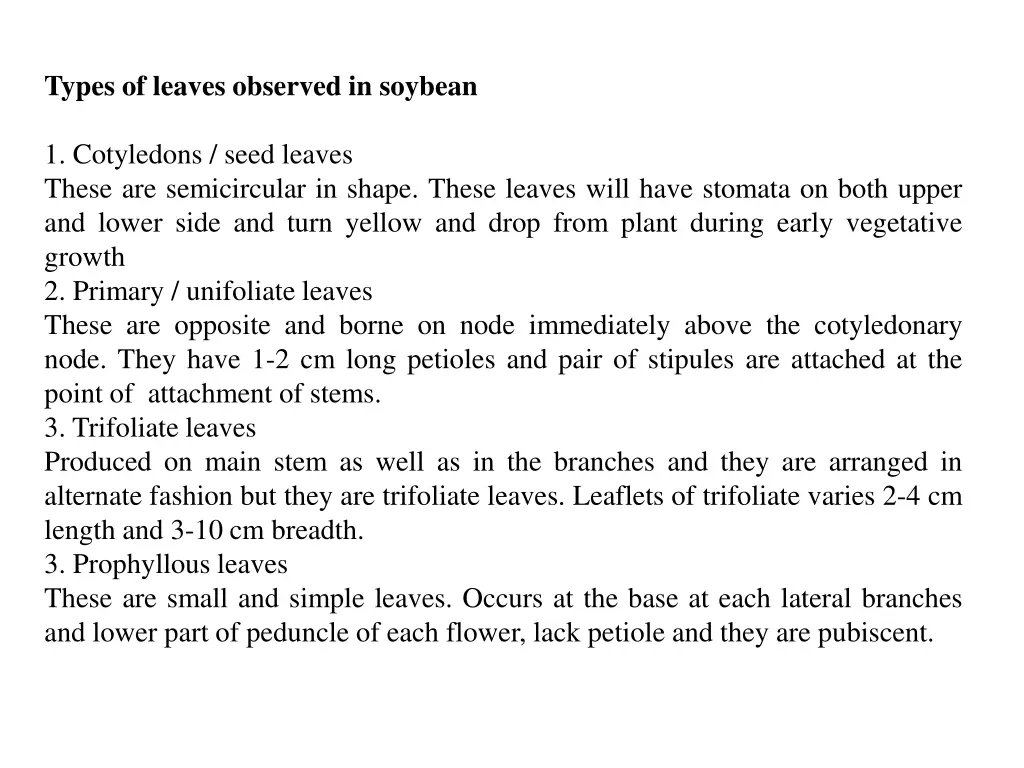 types of leaves observed in soybean