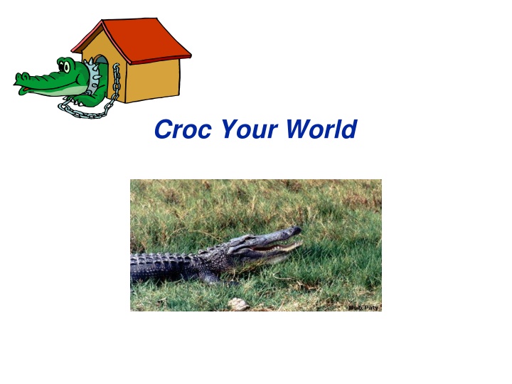 croc your world