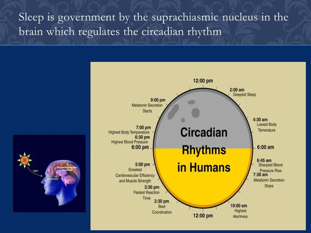 sleep is government by the suprachiasmic nucleus