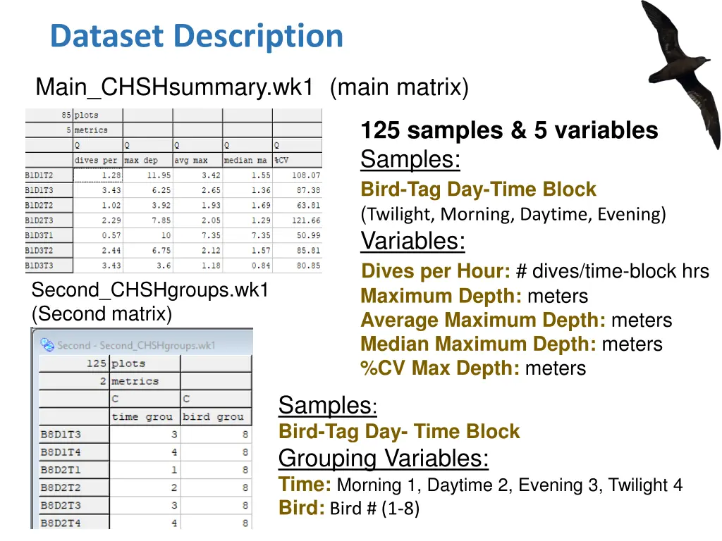 dataset description