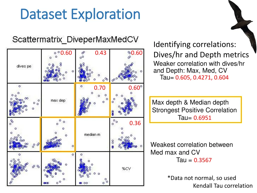 dataset exploration dataset exploration