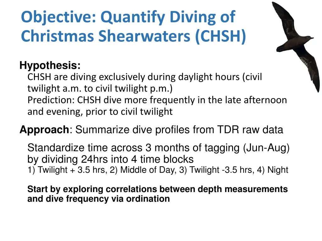 objective quantify diving of christmas