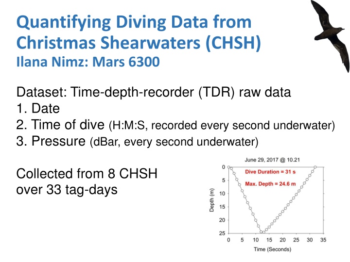 quantifying diving data from christmas