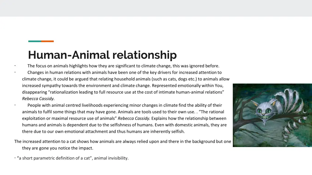 human animal relationship the focus on animals