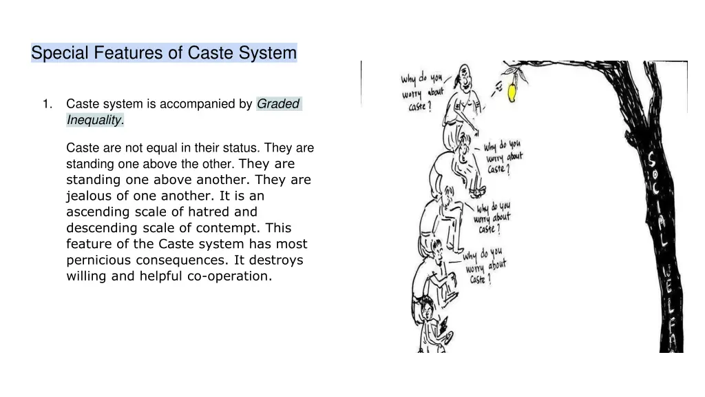 special features of caste system