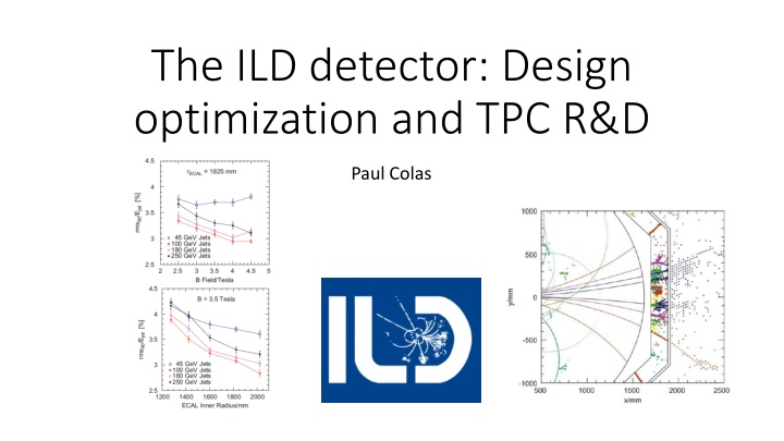 the ild detector design optimization and tpc r d