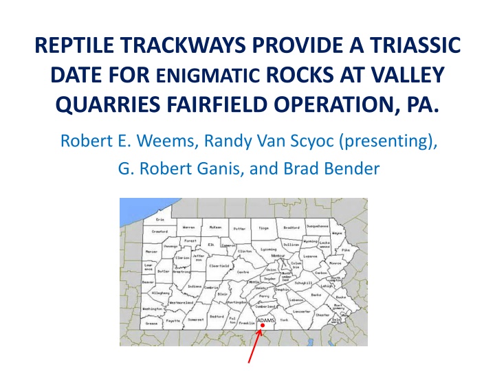 reptile trackways provide a triassic date