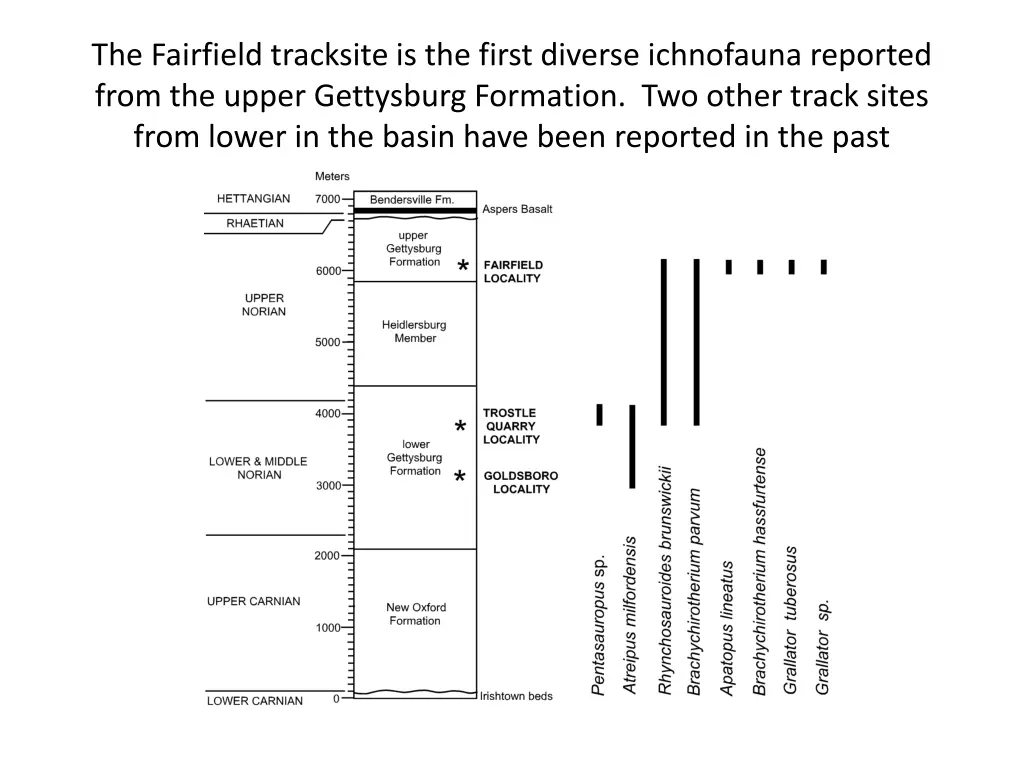 the fairfield tracksite is the first diverse