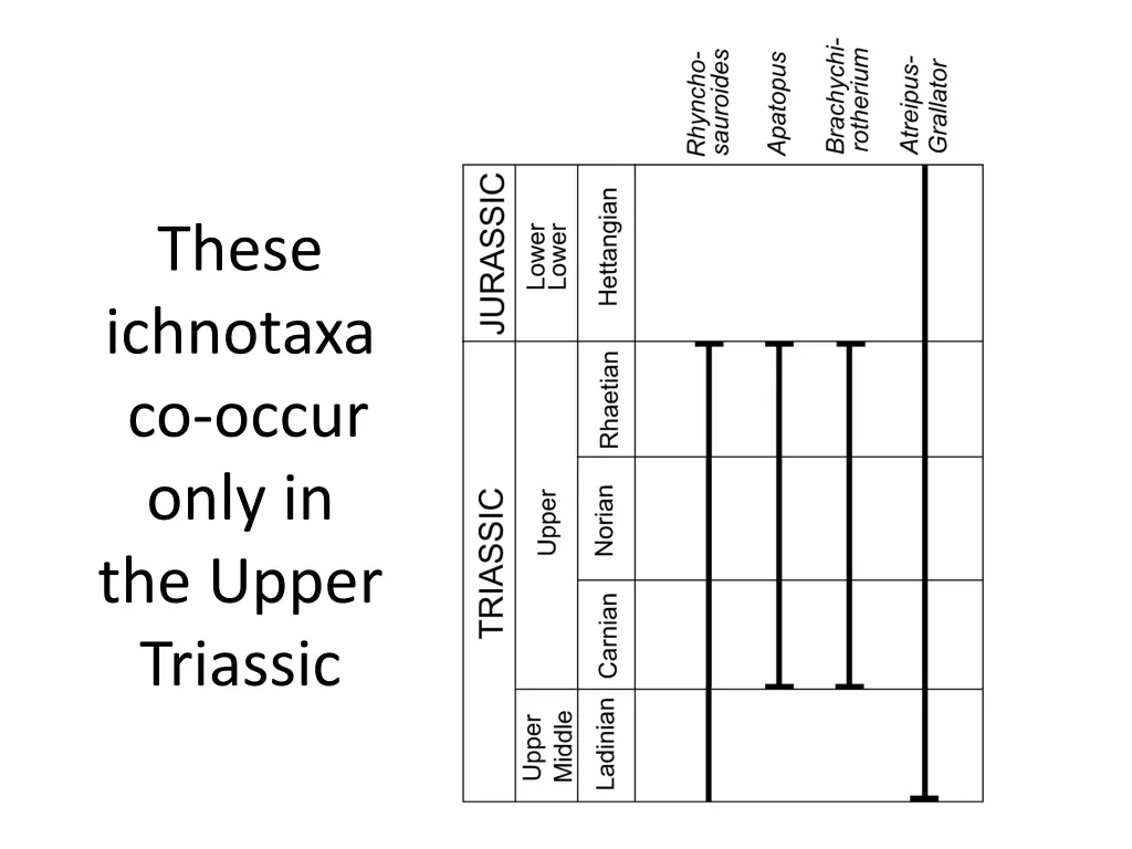 these ichnotaxa co occur only in the upper