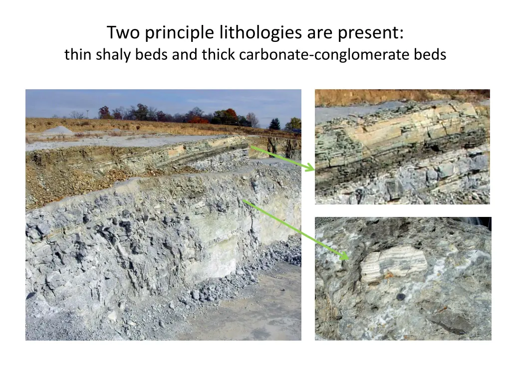 two principle lithologies are present thin shaly