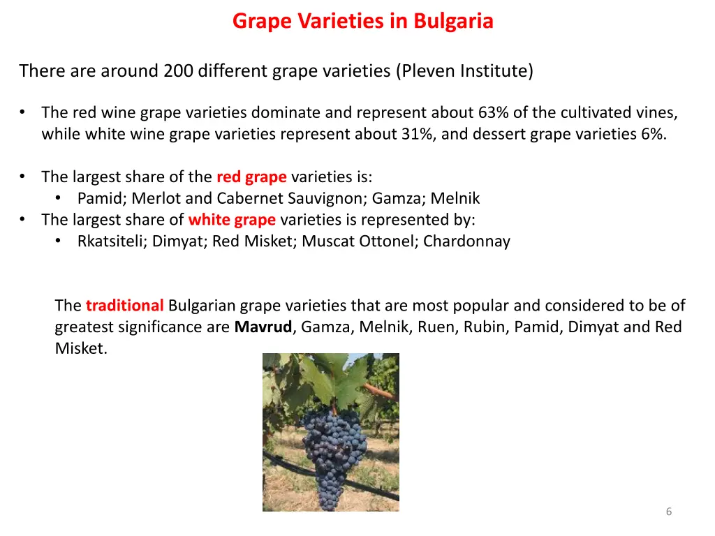 grape varieties in bulgaria