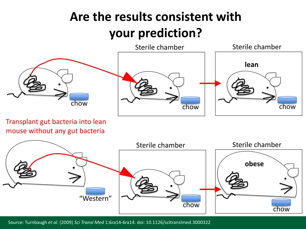 are the results consistent with your prediction