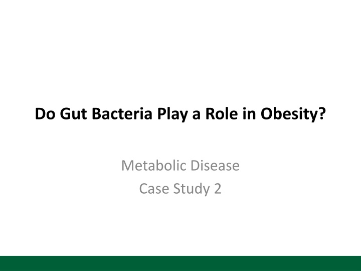 do gut bacteria play a role in obesity