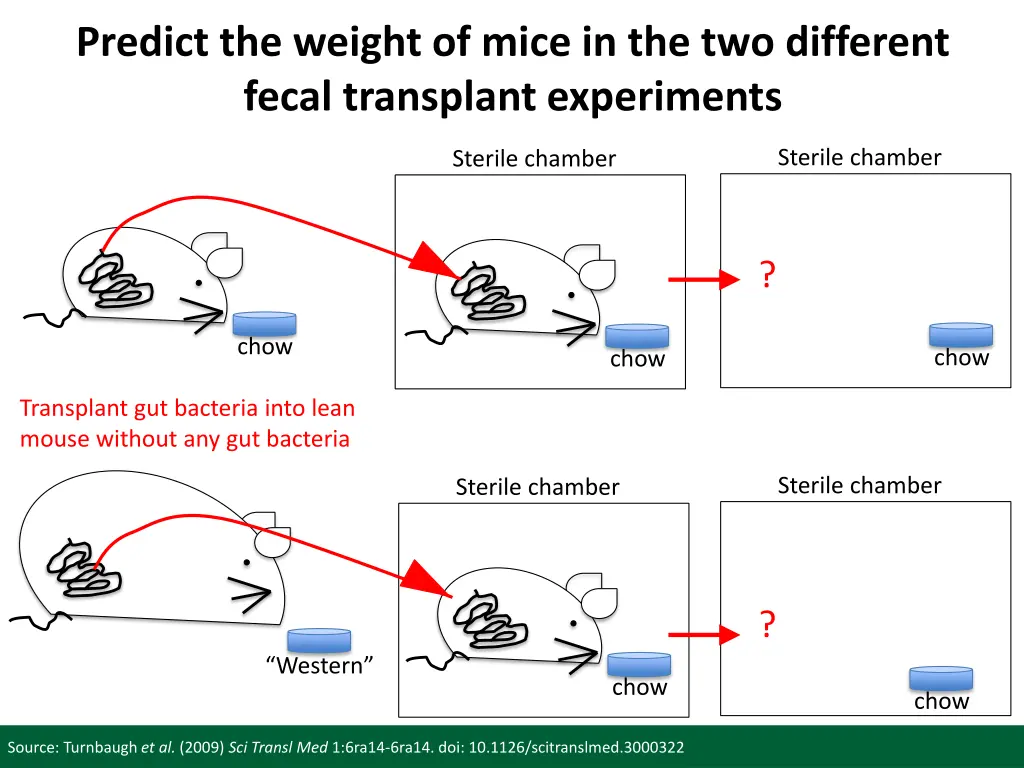 predict the weight of mice in the two different