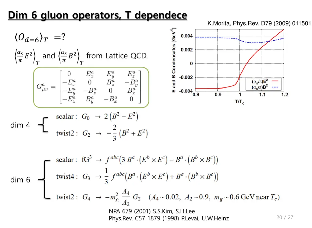 dim 6 gluon operators t dependece