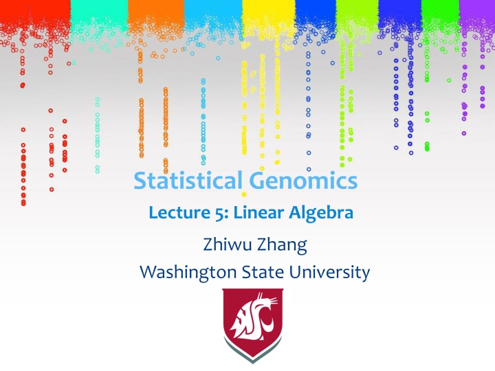 statistical genomics lecture 5 linear algebra