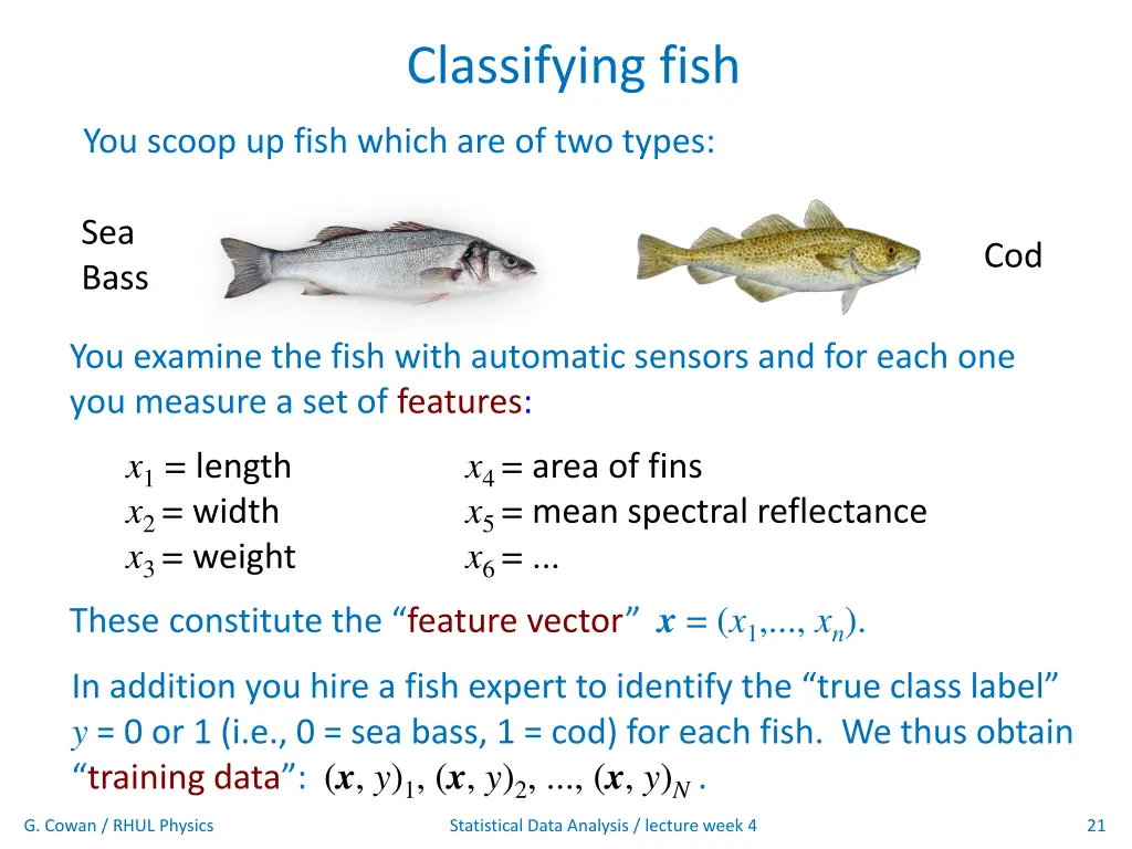 classifying fish