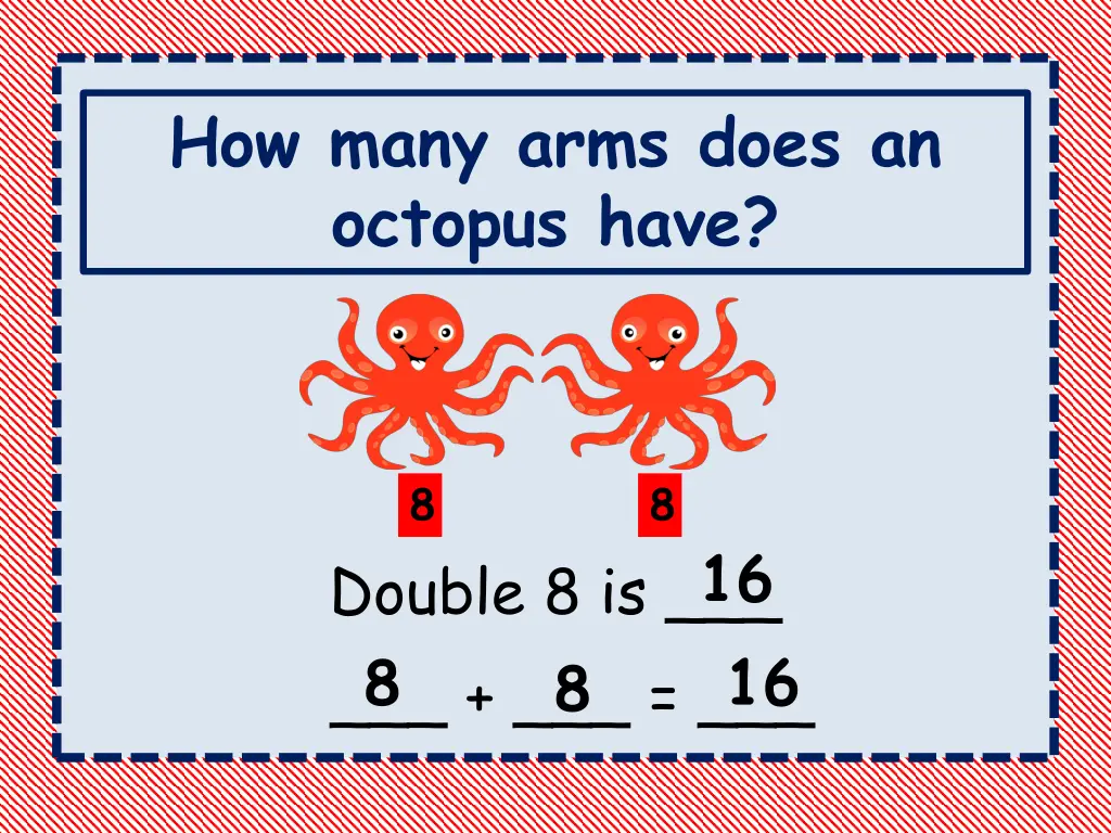 how many arms does an octopus have