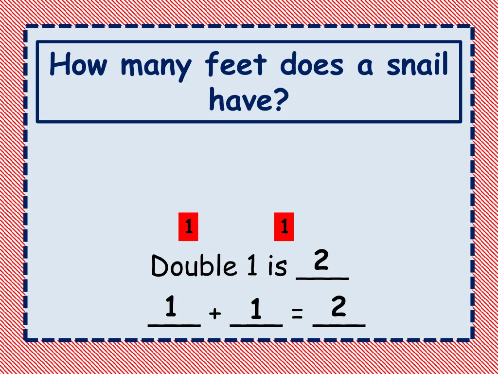 how many feet does a snail have