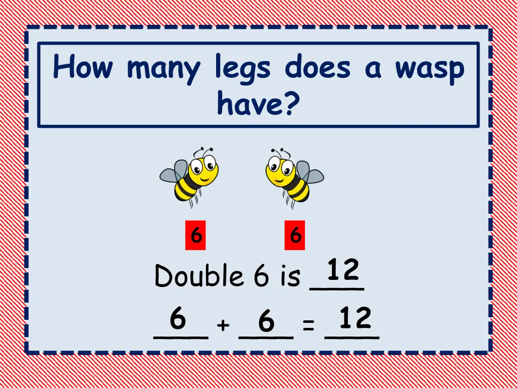 how many legs does a wasp have