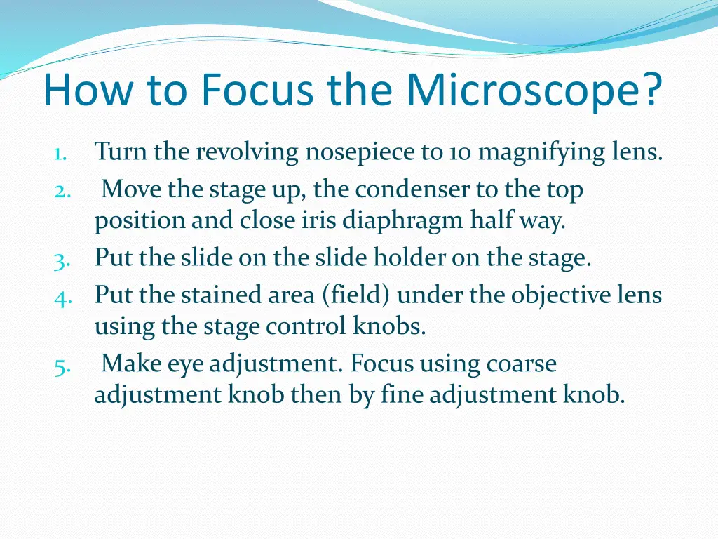 how to focus the microscope