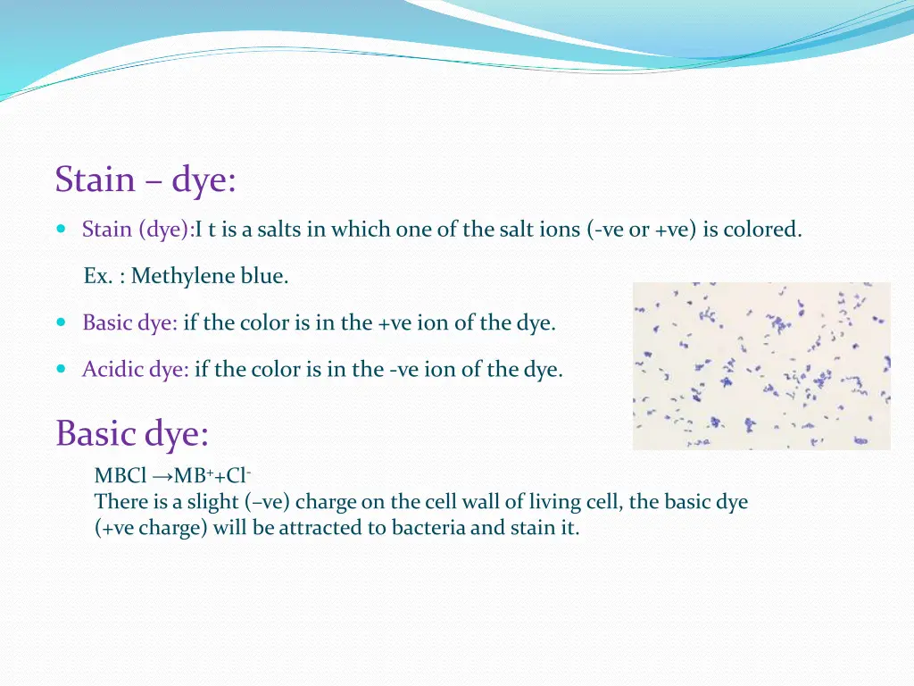 stain dye