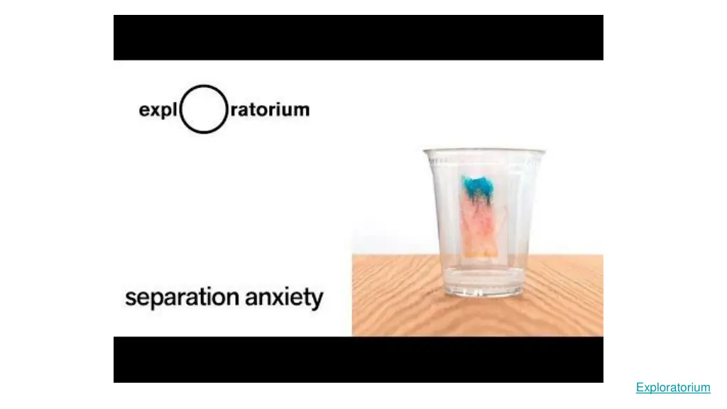 separation anxiety science snack activity