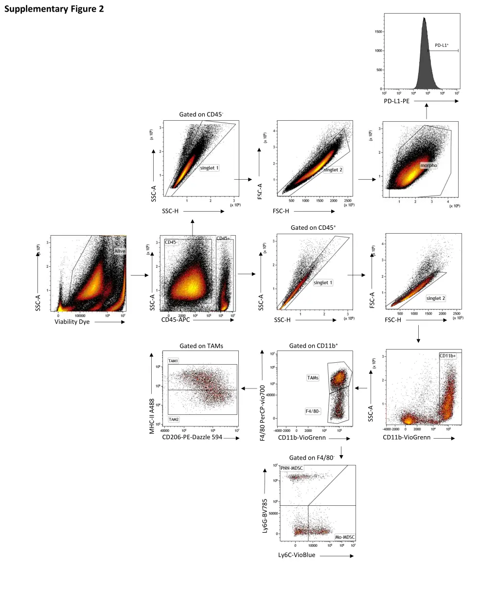 supplementary figure 2