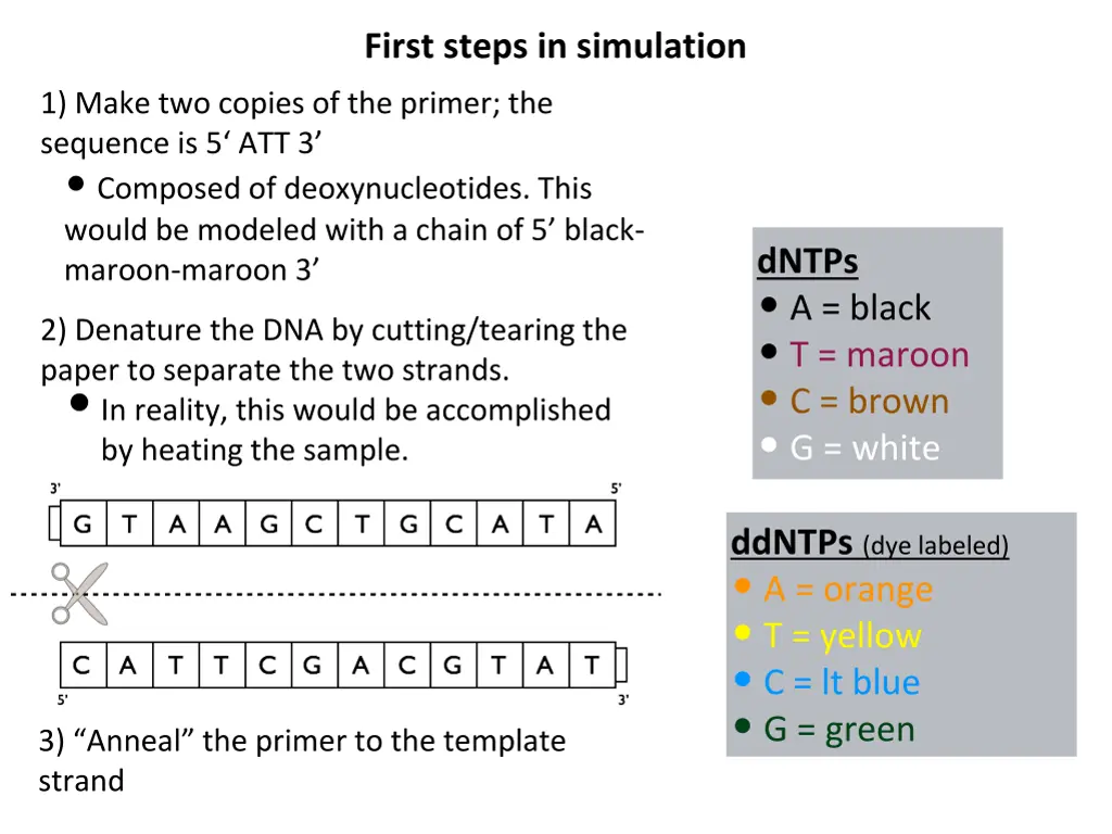 first steps in simulation