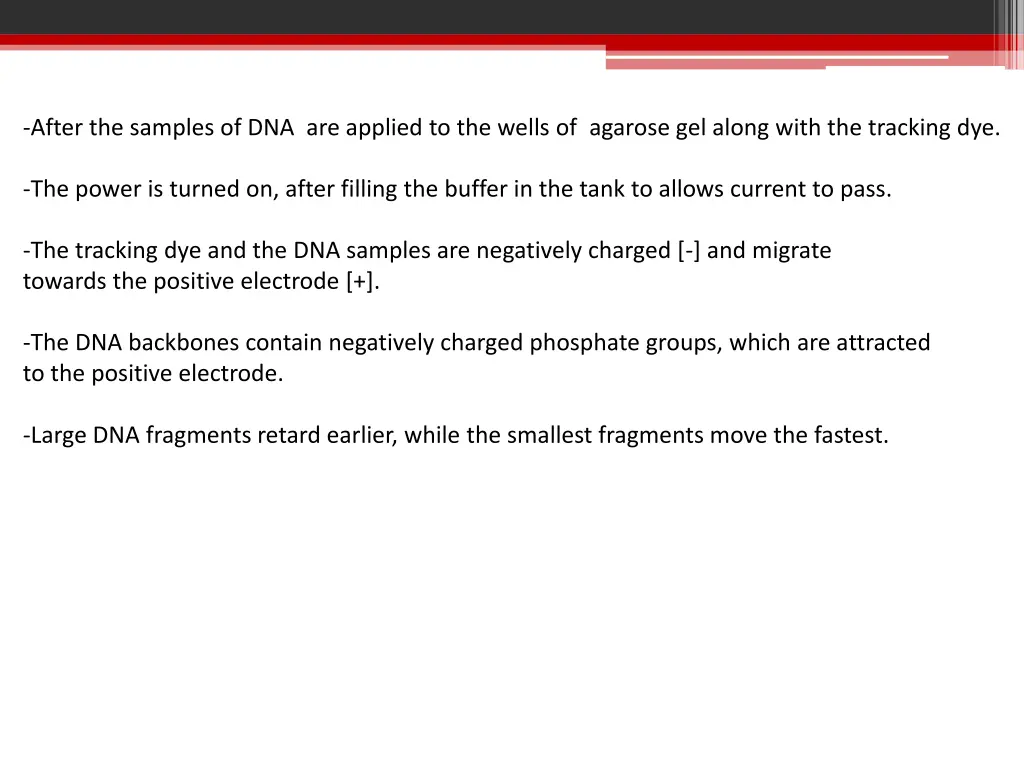 after the samples of dna are applied to the wells