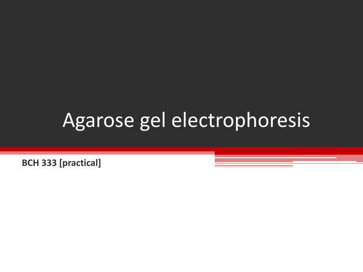 agarose gel electrophoresis