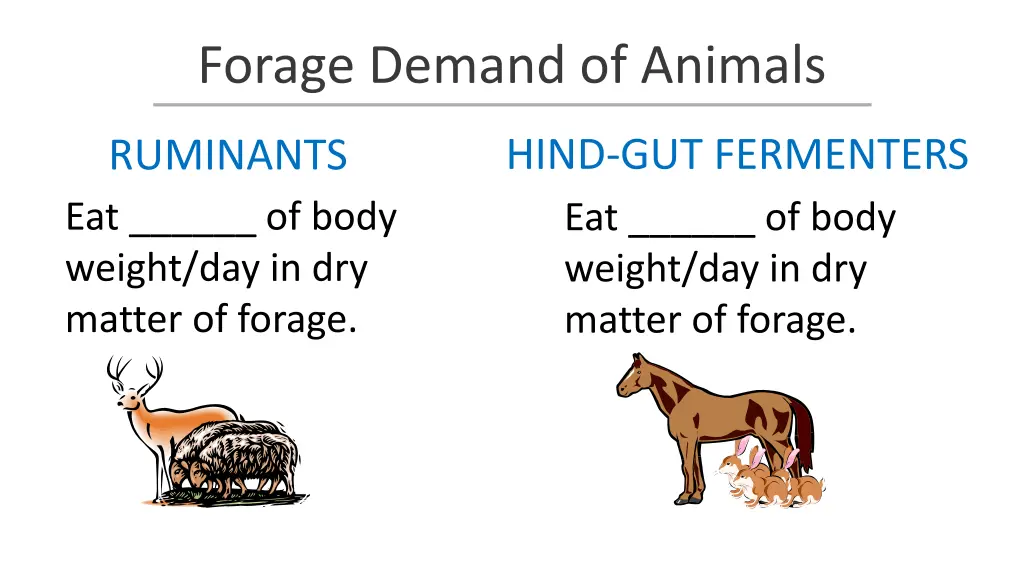 forage demand of animals