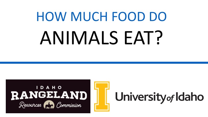 how much food do animals eat