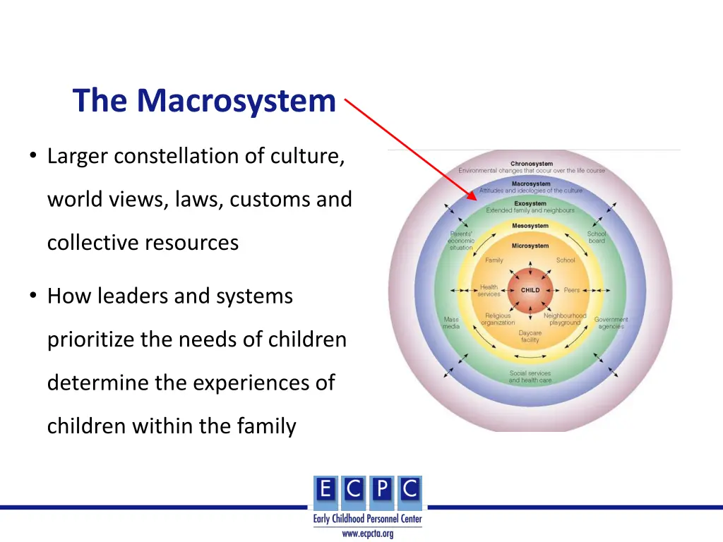 the macrosystem