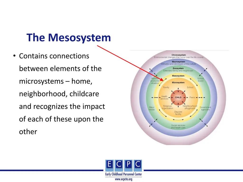 the mesosystem