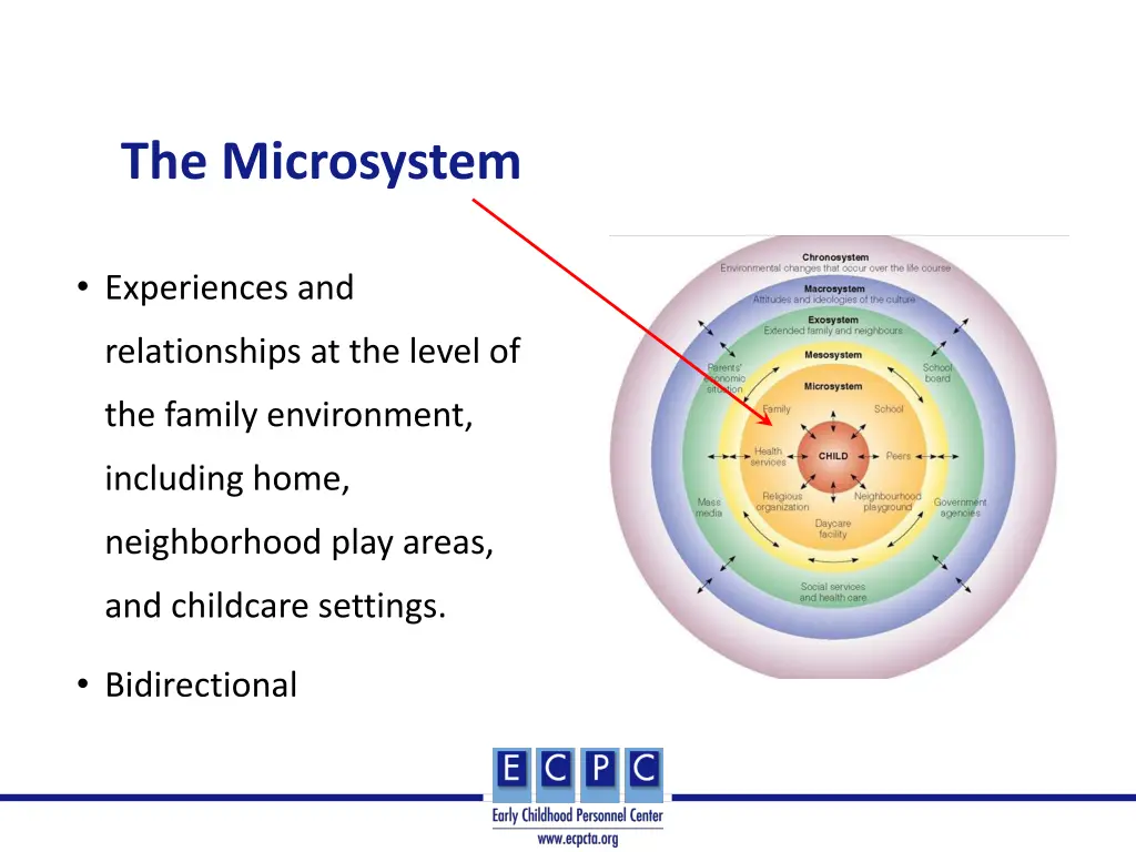 the microsystem