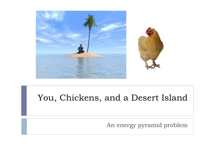 you chickens and a desert island