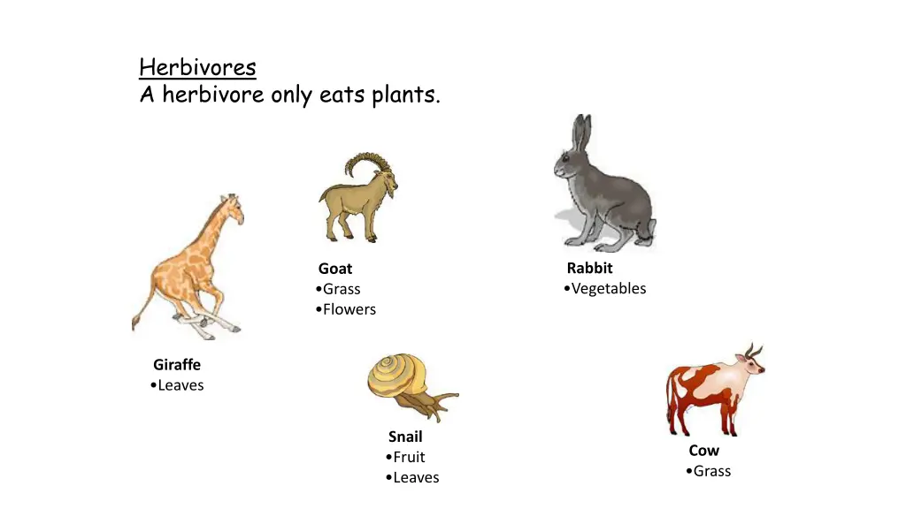 herbivores a herbivore only eats plants