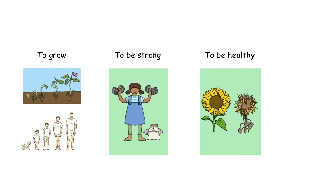 to grow to be strong to be healthy