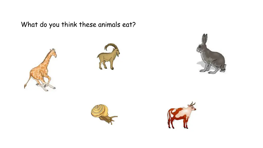 what do you think these animals eat