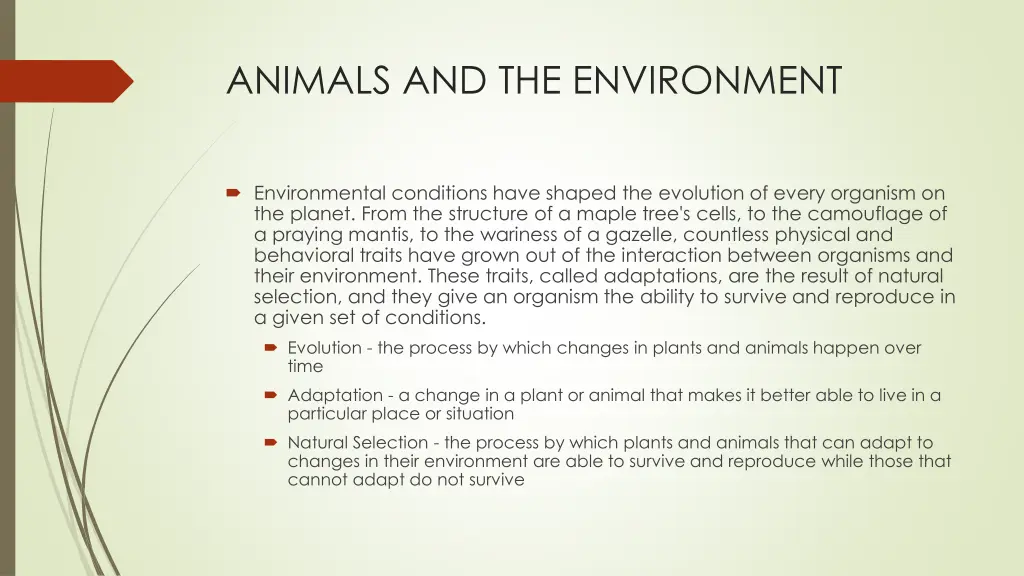 animals and the environment