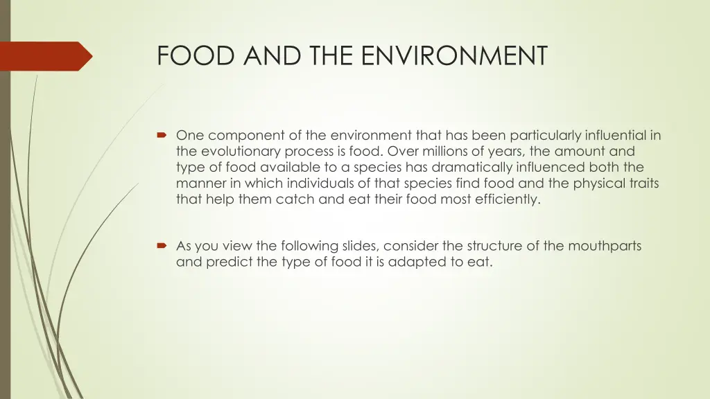 food and the environment