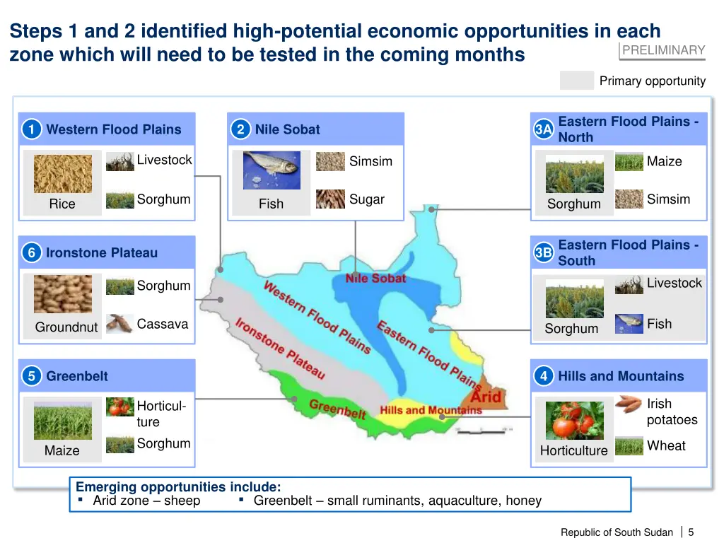 steps 1 and 2 identified high potential economic