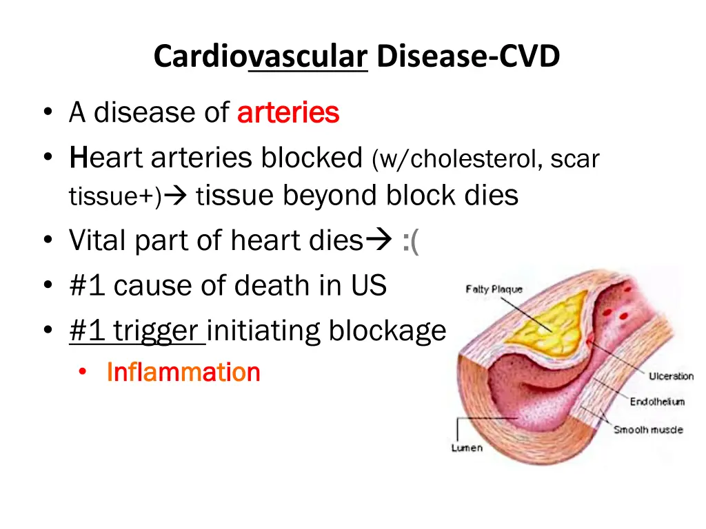 cardiovascular disease cvd