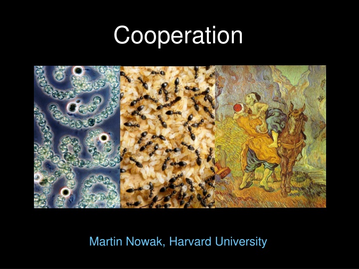 cooperation