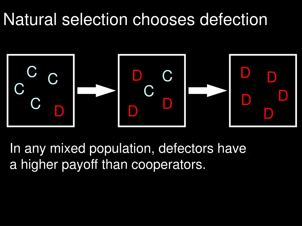 natural selection chooses defection