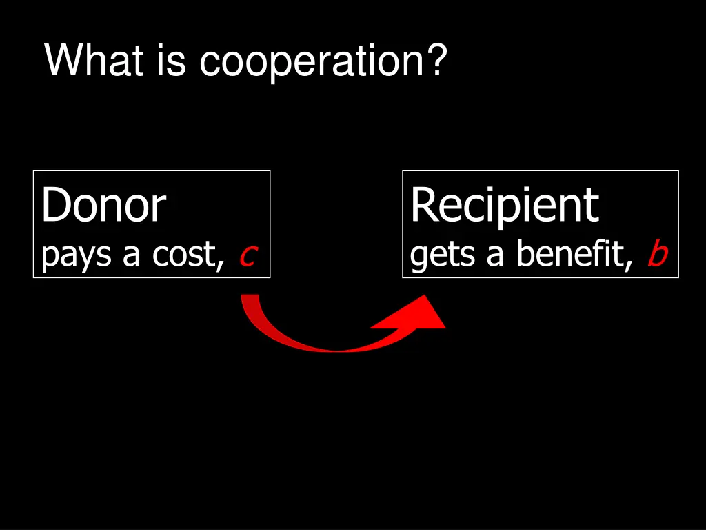 what is cooperation