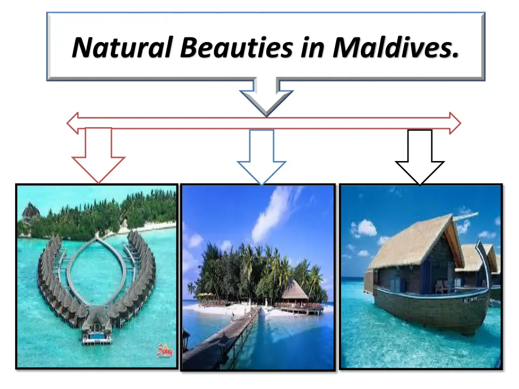 natural beauties in maldives 1