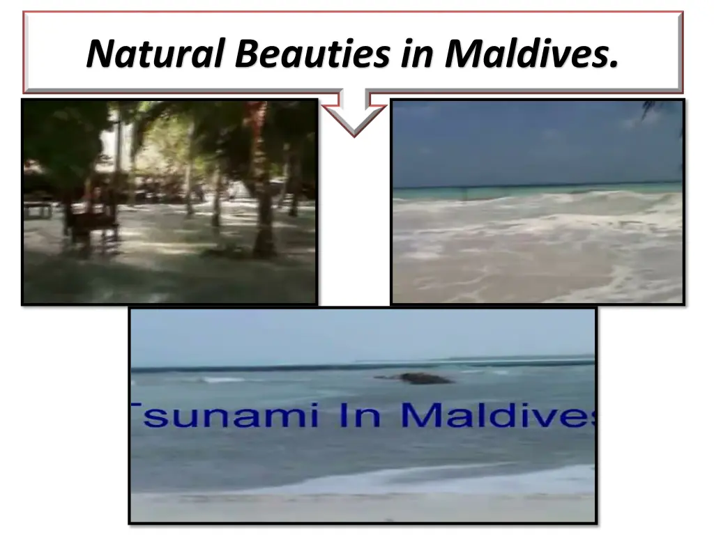 natural beauties in maldives 2